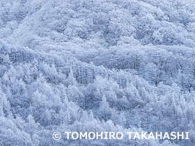 土湯峠　福島県　12月