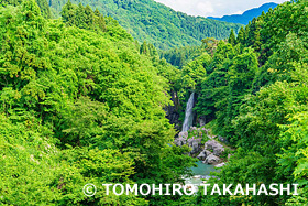 手取峡谷　石川県　6月