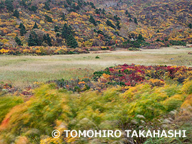 栗駒山　岩手県　10月