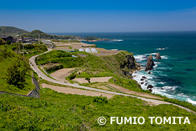 海辺の田畑と道　京都府　5月