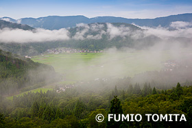 田圃を囲む集落　滋賀県　7月