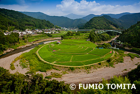 夏のあらぎ島　和歌山　7月