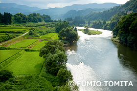 田圃と光る最上川　山形県　8月