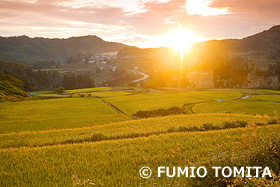 四ヶ村の棚田の朝　山形県　10月