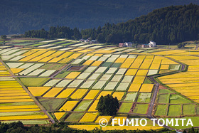 山本山からの展望_　新潟県　9月