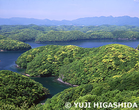 新緑の朝茅湾　長崎県　5月