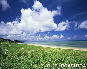 夏雲と平久保の海岸　沖縄県　6月