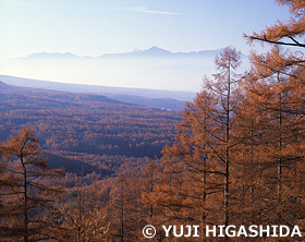 八ヶ岳山麓と南アルプス　長野県　11月