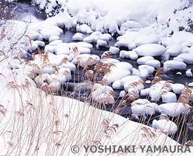 雪渓　福島県　2月