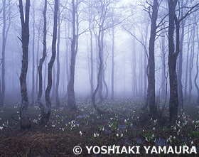 会津　福島県　4月