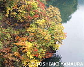 只見川　福島県　10月