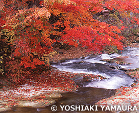 湯岐川　福島県　10月