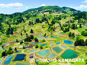 山古志の棚田　養魚池　ドローン撮影　新潟県　5月