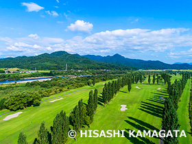 ポプラ並木 河川敷 ドローン撮影 新潟県 9月