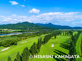 ポプラ並木　河川敷　ドローン撮影　新潟県　9月