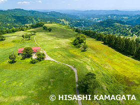 大厳寺高原　大厳寺牧場　ドローン撮影　新潟県　6月