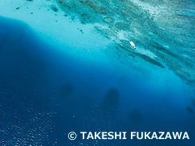 笠利湾　奄美群島国立公園　奄美大島　ドローン撮影　鹿児島県　3月