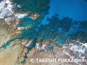 用海岸のサンゴ礁　奄美群島国立公園　奄美大島　ドローン撮影　鹿児島県　3月