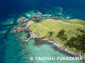 サンゴ礁に囲まれた宮古崎 奄美群島国立公園 ドローン撮影 鹿児島県 7月