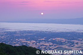 散居村の朝日 砺波平野 富山県 6月