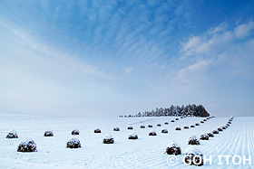 雪の丘と豆ニオ群 北海道 11月