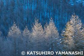 雪と氷