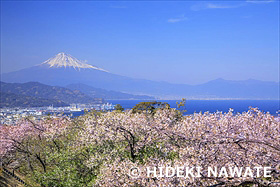 日本平夢テラス