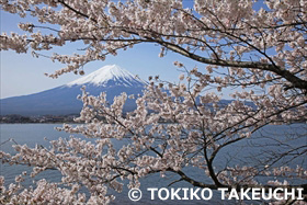 田貫湖