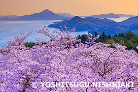 朝の開山公園より瀬戸内海