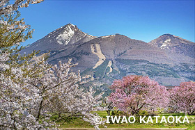 桜と磐梯山