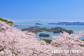 西行戻しの松公園