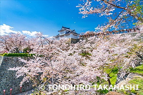 津山城跡