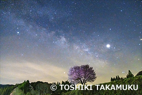 野平の桜と天の川