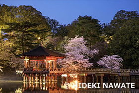 奈良公園の浮御堂