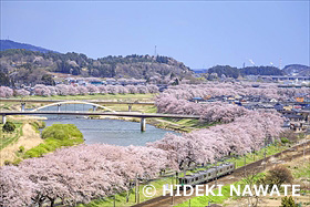 白石川堤一目千本桜と東北本線