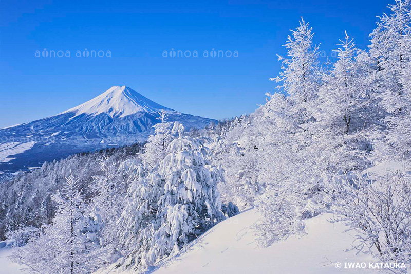 三つ峠より富士山　山梨県