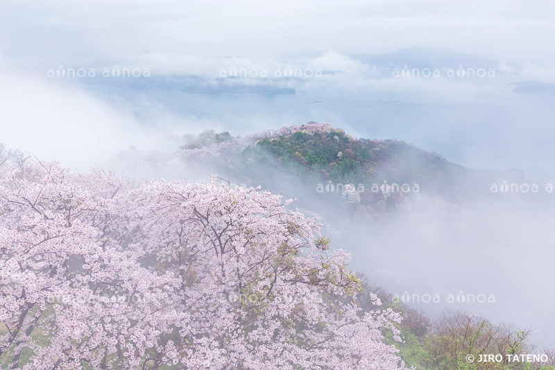 積善山　愛媛県