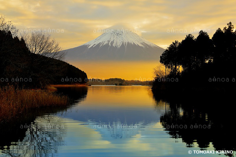 田貫湖　富士山　静岡県