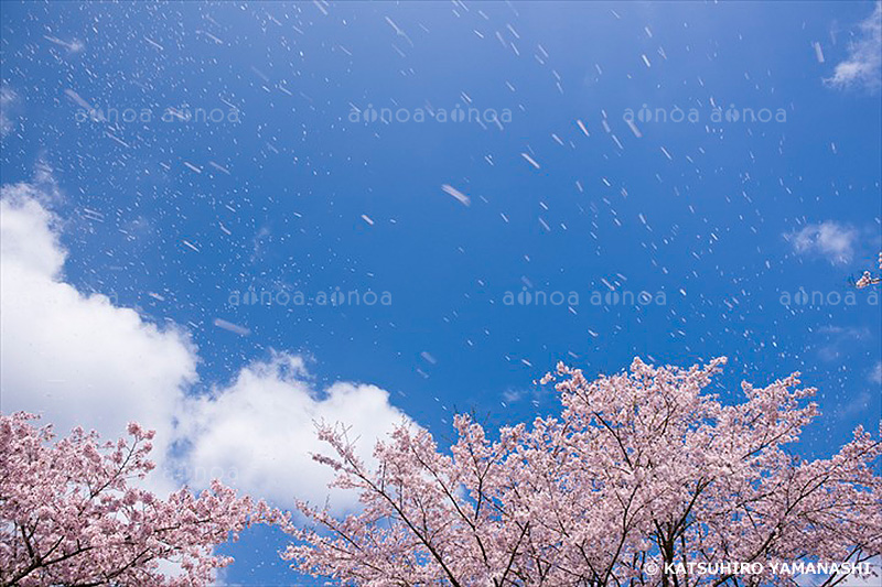 三休公園　岡山県