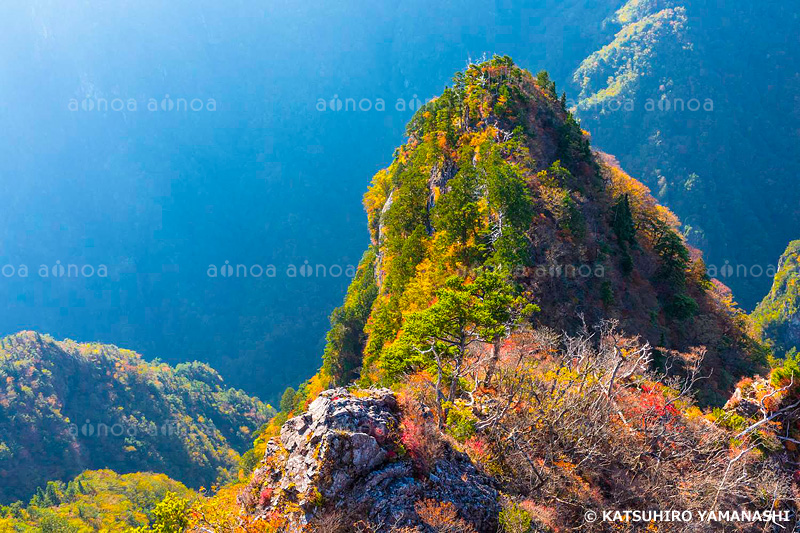 大台ヶ原　奈良県