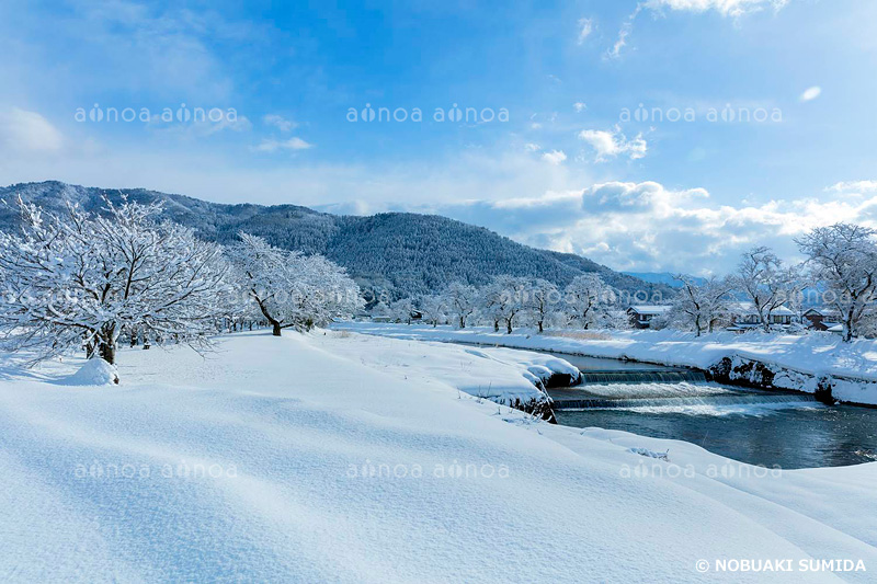 余呉川　滋賀県