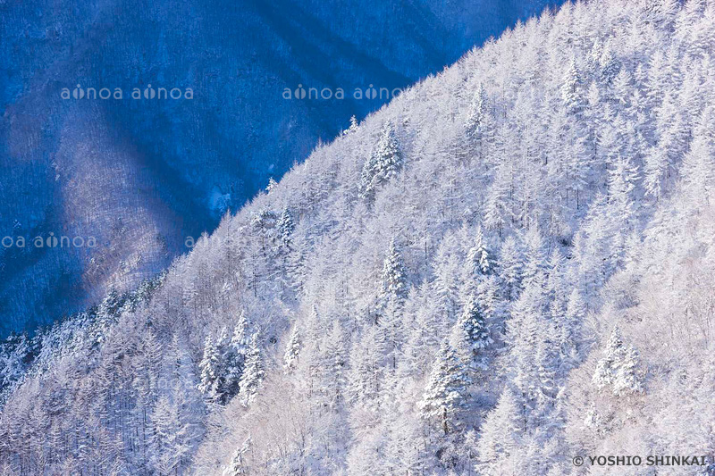 新道峠　山梨県