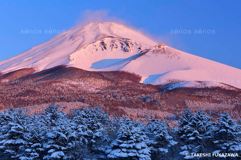 富士山　水ヶ塚　静岡県