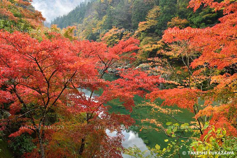 祖谷渓　徳島県