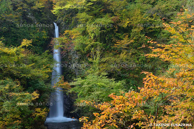 大山滝　鳥取県