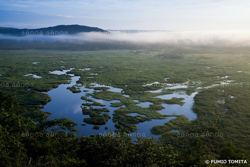 コッタロ湿原　北海道