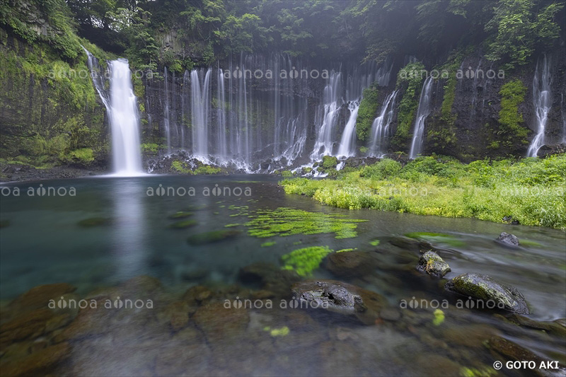 白糸の滝　静岡県　6月