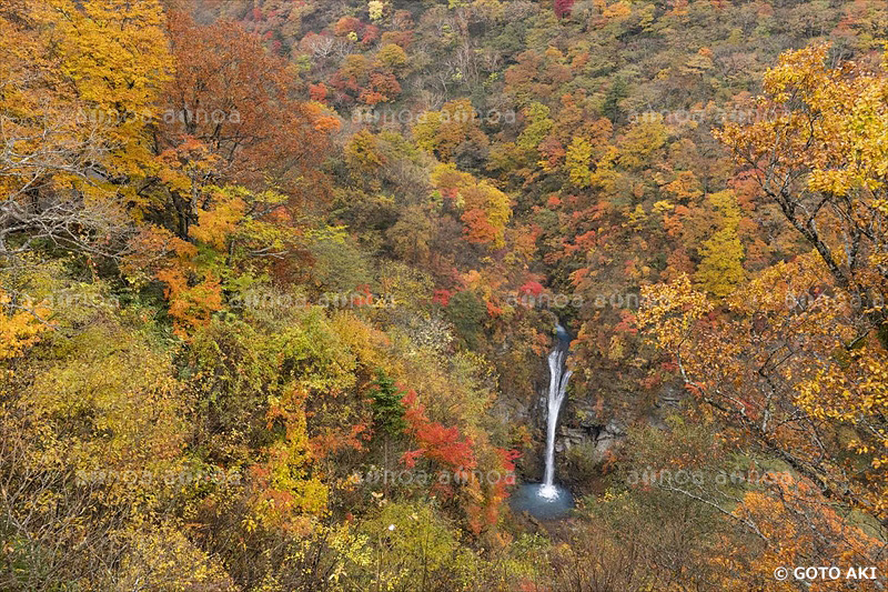 紅葉　駒止の滝　栃木県　10月