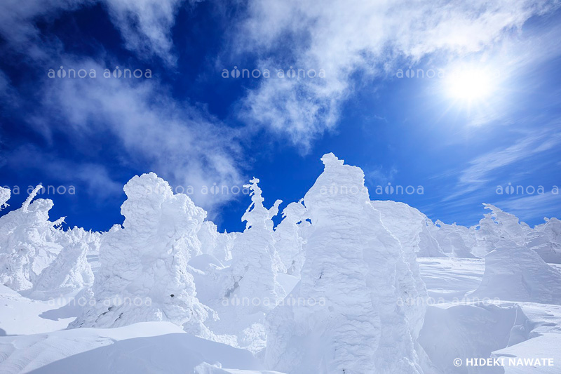 蔵王の樹氷　山形県　2月