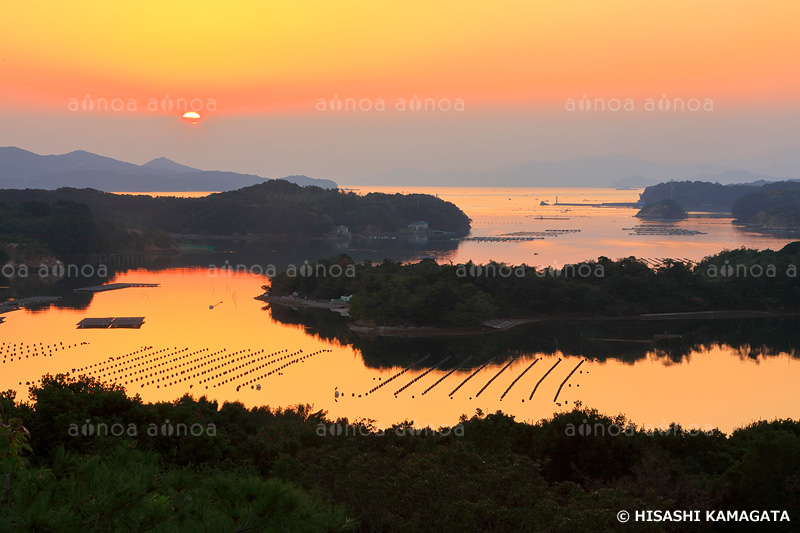 英虞湾夕陽　真珠筏　　桐垣展望台から撮影　三重県　10月